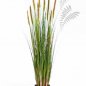 Preview: FOXTAIL GRASS W/GREEN FL 120cm 1040L-120