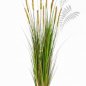 Preview: FOXTAIL GRASS W/GREEN FL 150cm 1040L-150