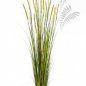 Preview: FOXTAIL GRASS W/GREEN FL 180cm 1040L-180