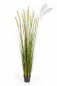 Preview: FOXTAIL GRASS W/GREEN FL 180cm 1040L-180