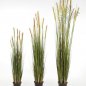 Preview: FOXTAIL GRASS W/GREEN FL 90cm 1040L-090