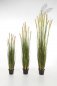 Preview: FOXTAIL GRASS W/GREEN FL 90cm 1040L-090