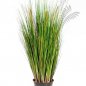 Preview: FOXTAIL GRASS W/GREEN FL 1040N