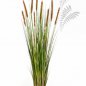 Preview: FOXTAIL GRASS W/BROWN FL 120cm 1041B-120