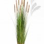 Preview: FOXTAIL GRASS W/BROWN FL 1041B-150