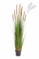 Preview: FOXTAIL GRASS W/BROWN FL 1041B-150