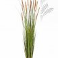 Preview: FOXTAIL GRASS W/BROWN FL 180cm 1041B-180