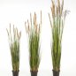 Preview: FOXTAIL GRASS W/BROWN FL 90cm 1041B-090