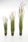 Preview: FOXTAIL GRASS W/BROWN FL 90cm 1041B-090