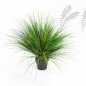 Preview: ONION GRASS X 2468-65CM 1048N-M