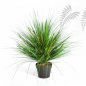 Preview: ONION GRASS X 1624-50CM 1048N-S