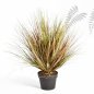 Preview: AUTUMN ONION GRASS X 1624-50CM 1049A-S