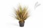 Preview: AUTUMN ONION GRASS X 1624-50CM 1049A-S