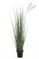 Preview: ZEBRA GRACILIS GRASS 90cm 1105N-090