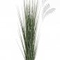 Preview: ZEBRA GRACILIS GRASS 120cm 1105N-120