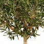 Preview: NATURAL OLIVE TOPIARY TREE 150cm 27605N