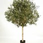 Preview: NATURAL OLIVE TOPIARY TREE 180cm 27606N