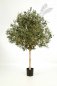 Preview: NATURAL OLIVE TOPIARY TREE 180cm 27606N