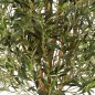 Preview: NATURAL OLIVE VINE TREE 170cm 27806N