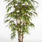 Preview: BAMBOO TREE 180cm 34406N