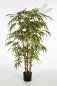 Preview: BAMBOO TREE 180cm 34406N