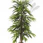 Preview: DELUXE LONGIFOLIA TREE 35805N