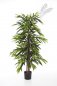 Preview: DELUXE LONGIFOLIA TREE 35805N