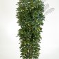 Preview: SCHEFFLERA ColumnTree 195cm 38206NW