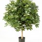 Preview: VAR. BALL SCHEFFLERA 110cm 38604NW