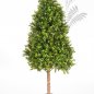 Preview: BOXWOOD TOWER TREE 44105N