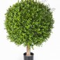 Preview: BOXWOOD BALL 60 cm 44560N