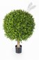 Preview: BOXWOOD BALL 60 cm 44560N