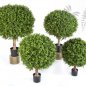 Preview: BOXWOOD BALL 70 cm 44570N