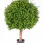 Preview: BOXWOOD BALL 80 cm 44580N