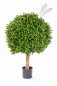 Preview: BOXWOOD BALL 80 cm 44580N