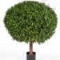 Preview: BOXWOOD BALL 100 cm 445XXL