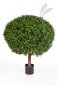 Preview: BOXWOOD BALL 100 cm 445XXL