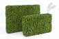 Preview: BOXWOOD HEDGE 55X95 CM 44602N