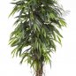 Preview: DELUXE LONGIFOLIA LIANA 48205N