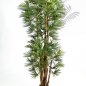 Preview: BABY FAN PALM 180cm 48506N