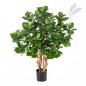 Preview: CLUSEA BUSH TREE 85cm 51303N