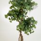 Preview: SWEET GINKGO ON CRAZY TRUNK 52205N