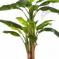 Preview: BANANA TREE X 3 180cm 57206N