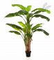 Preview: BANANA TREE X 3 180cm 57206N