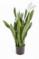 Preview: SANSEVERIA 93 cm 6282N