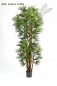 Preview: BABY FAN PALM 210cm 48507N