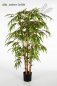 Preview: BAMBOO TREE 90cm 34403N