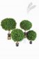 Preview: BOXWOOD BALL 40 cm 44540N