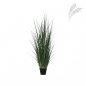 Preview: F1004-107-91 Grass in pot M, Green Various  H107