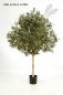 Preview: NATURAL OLIVE TOPIARY TREE 150cm 27605N